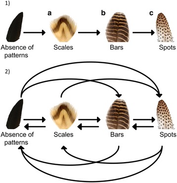 Fig. 1