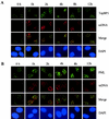 FIG. 2.