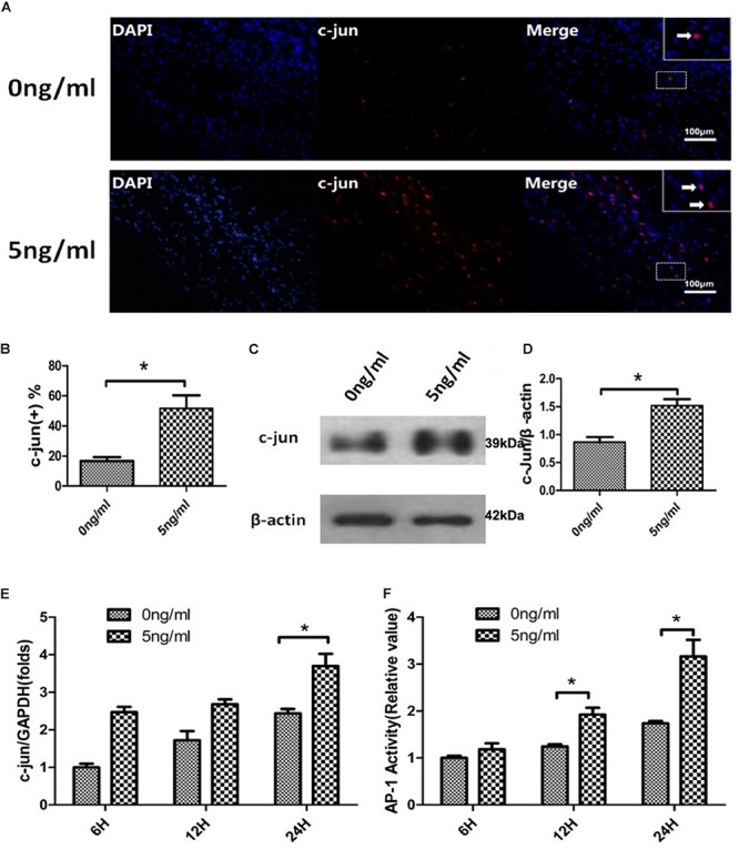 FIGURE 4