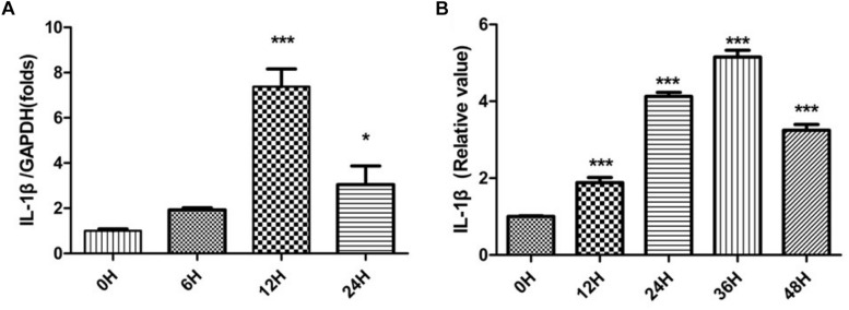 FIGURE 1