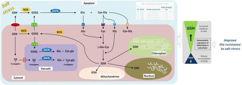 Figure 10