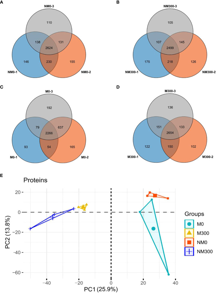 Figure 2