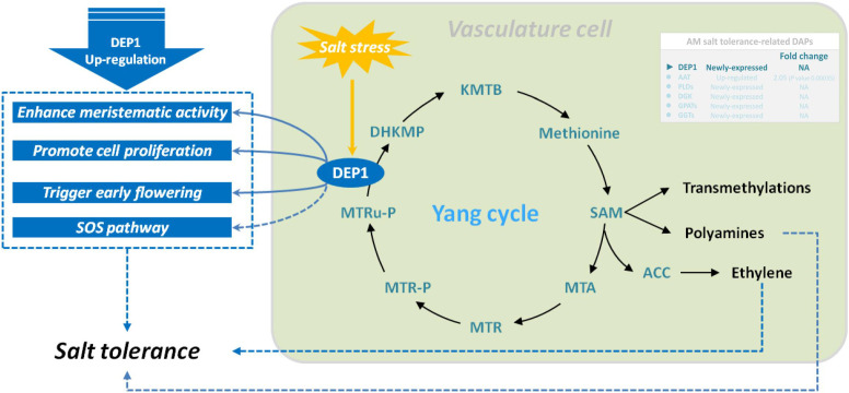 Figure 7