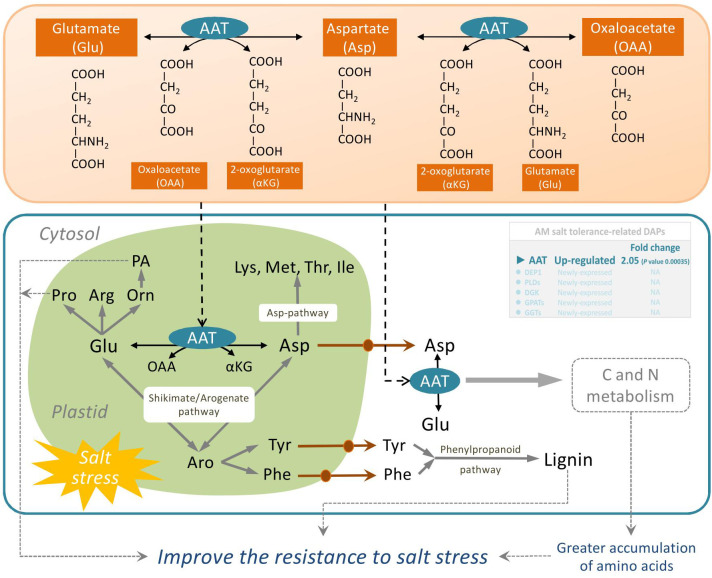 Figure 6