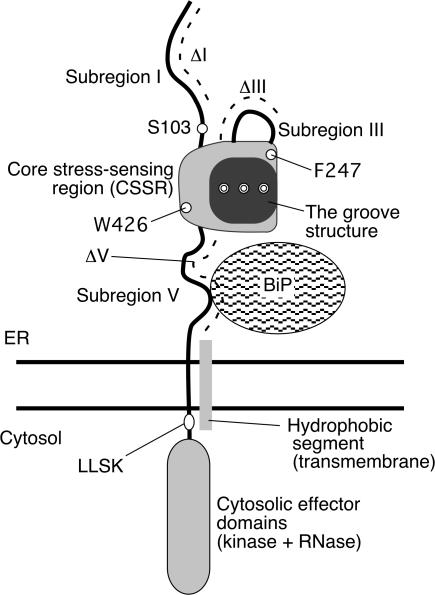 Figure 1.