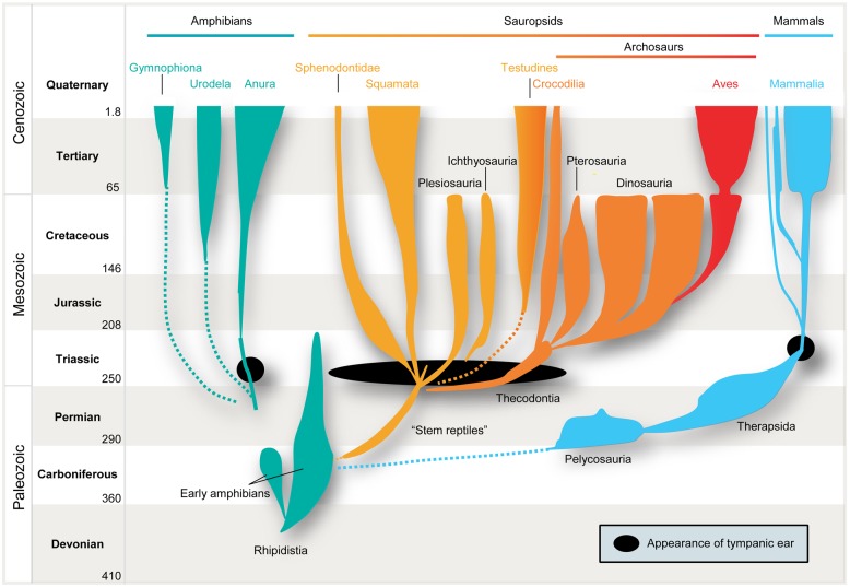 FIGURE 1