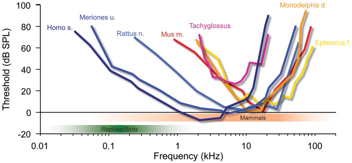 FIGURE 3