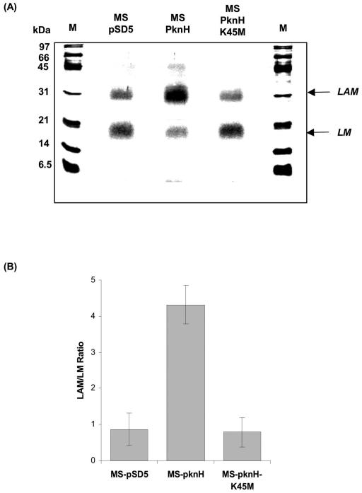 FIG. 4.