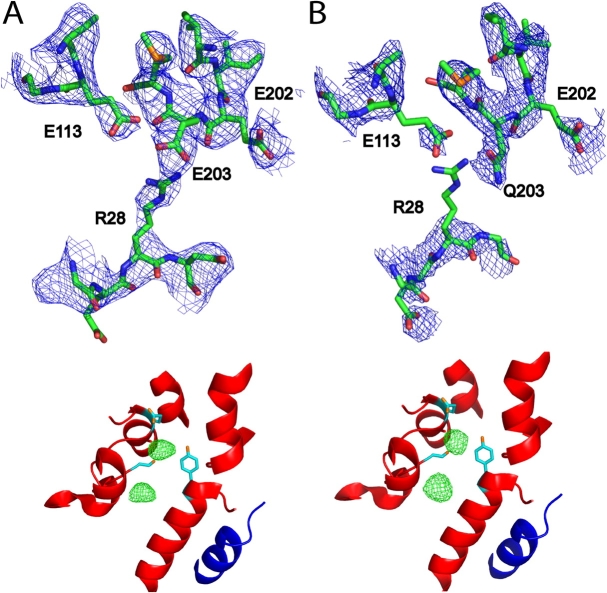 Figure 5.