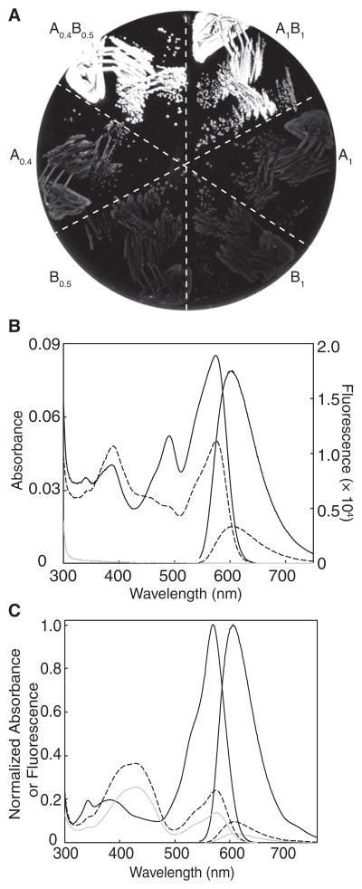 Figure 4