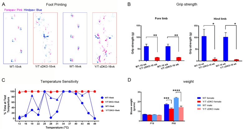 Figure 2—figure supplement 2.