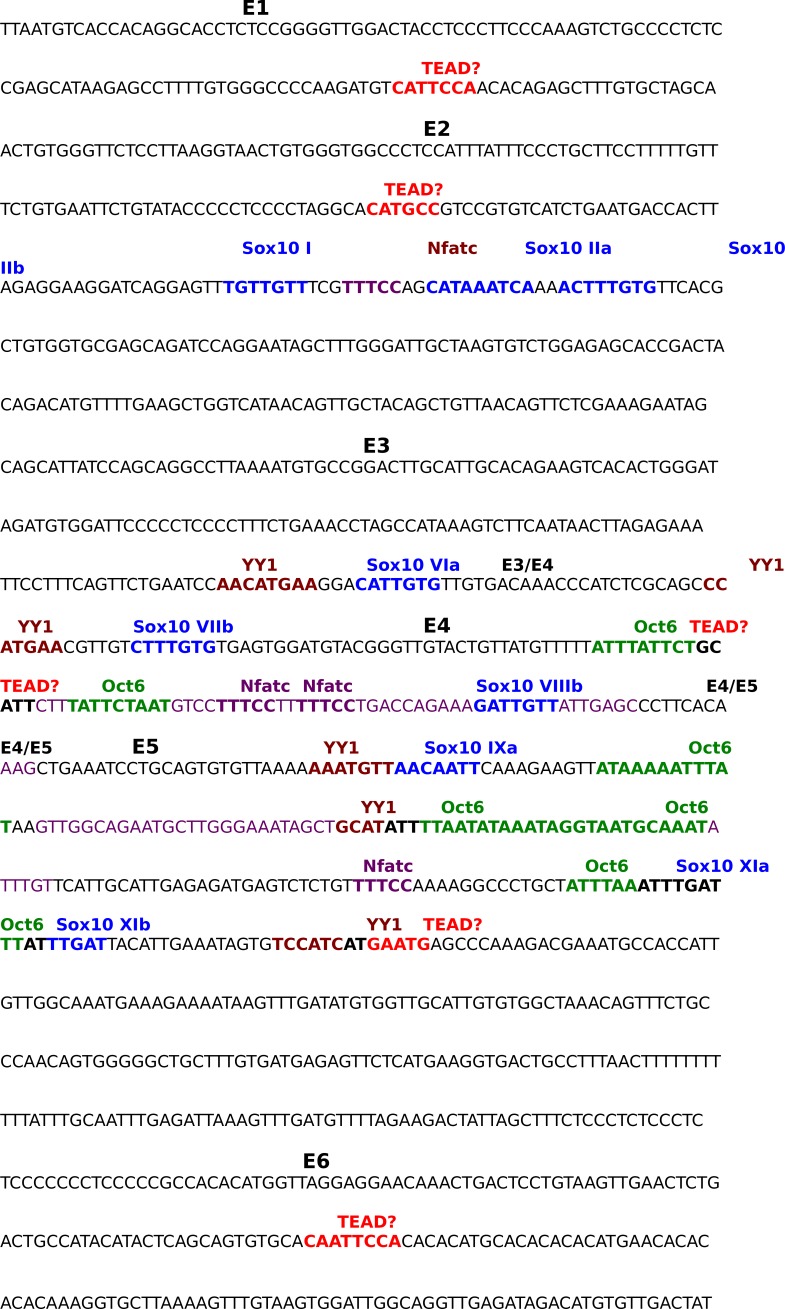 Figure 8—figure supplement 1.