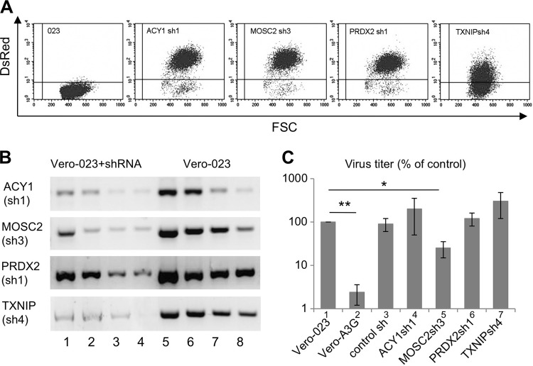 FIG 2