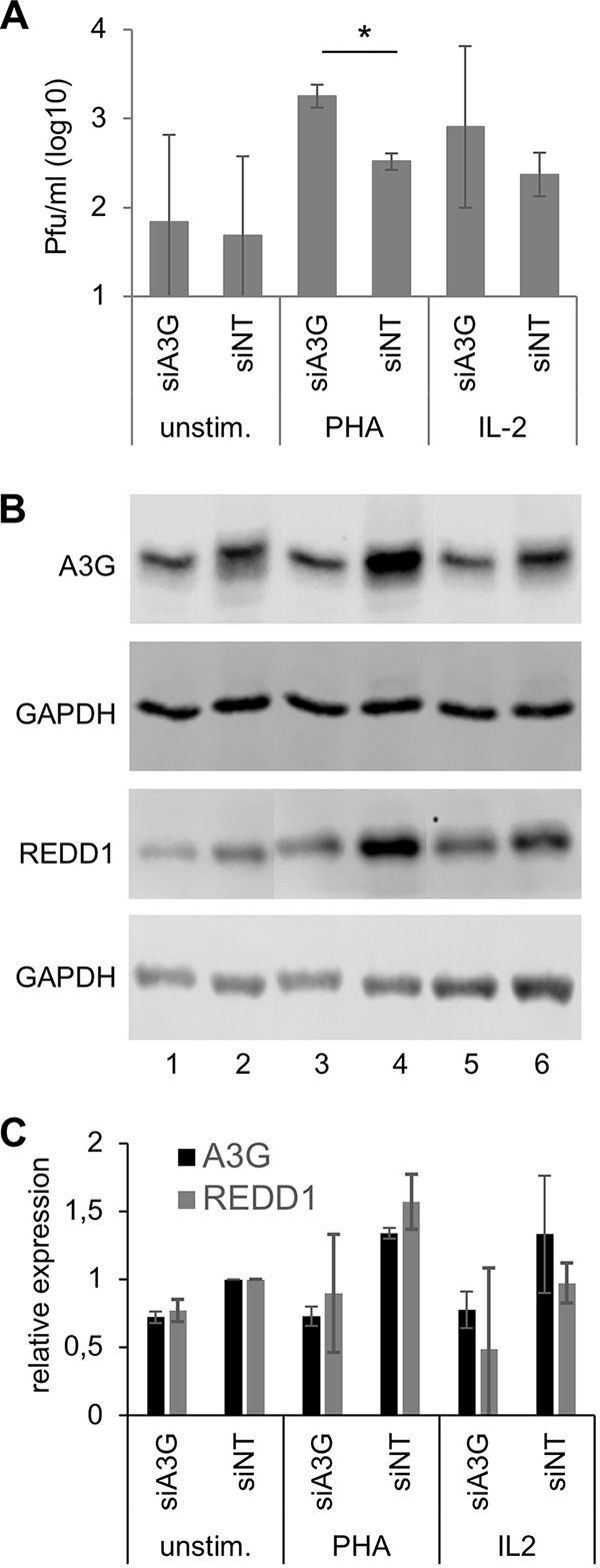 FIG 6