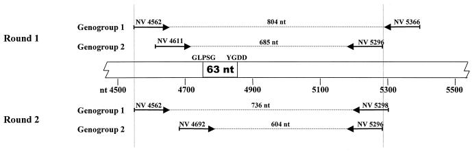 FIG. 1