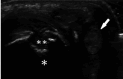 Figure 8.