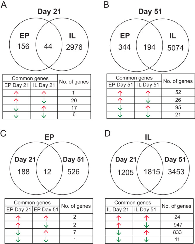 FIG 3