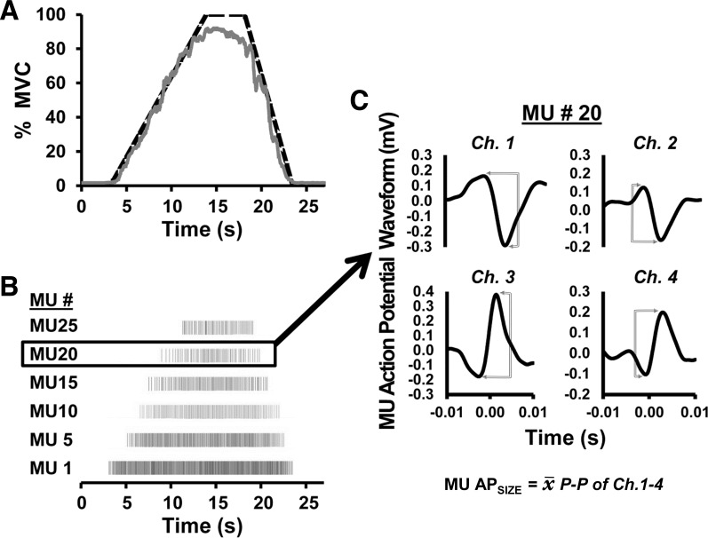 Fig. 1.