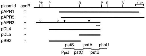 FIG. 1