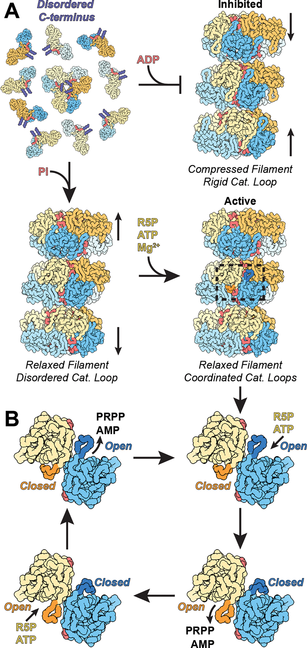 Figure 7: