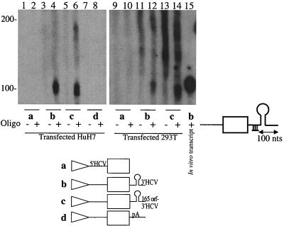 FIG. 7.