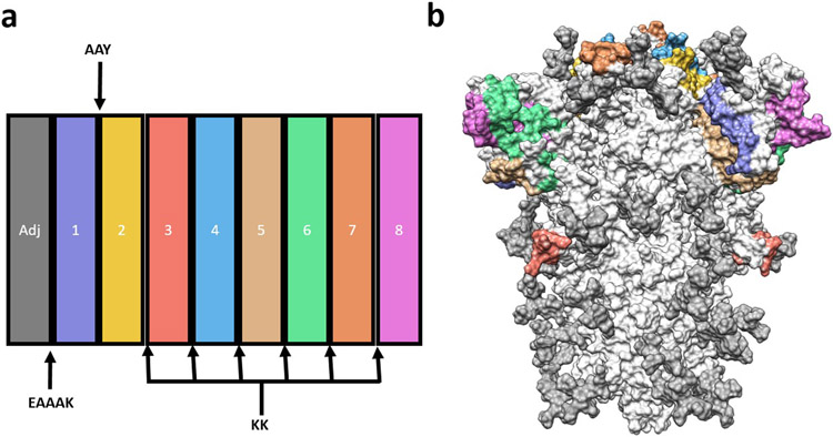 Figure 3: