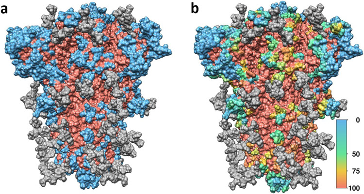 Figure 2: