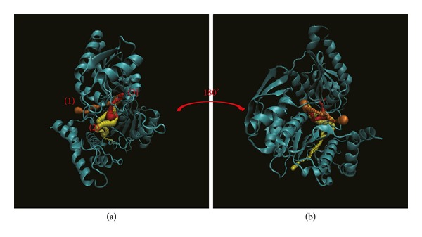 Figure 14