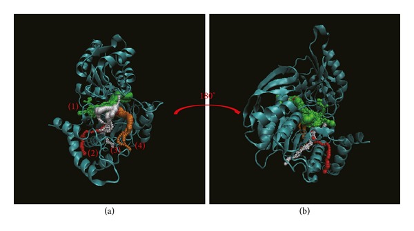 Figure 13