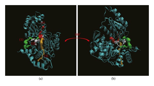 Figure 12