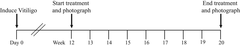 Figure 7: