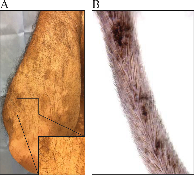 Figure 5: