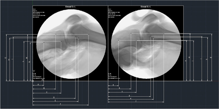 Fig. 5