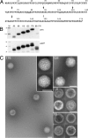 FIG. 6.