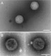 FIG. 8.