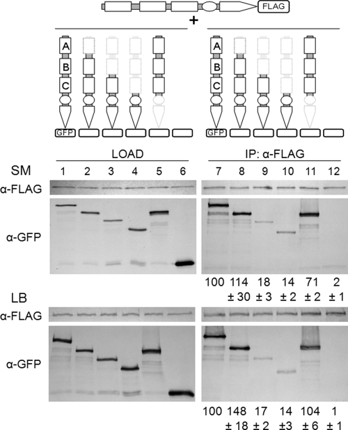 FIG. 4.