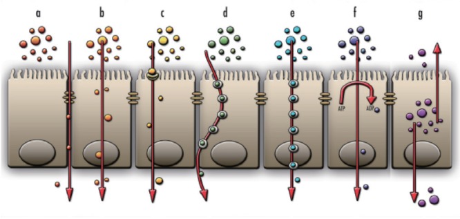 Fig. 2