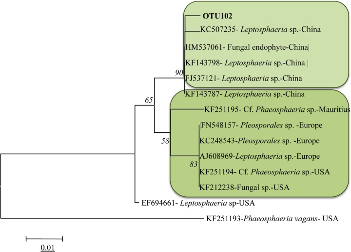 Fig 5