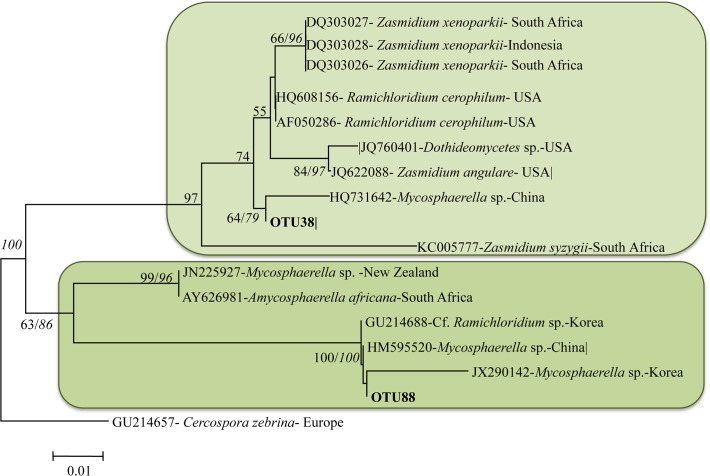 Fig 4