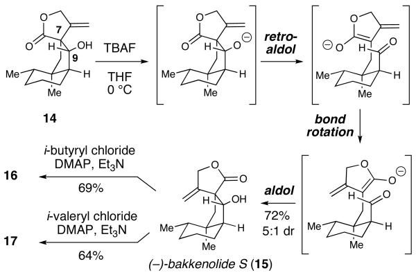 Scheme 5