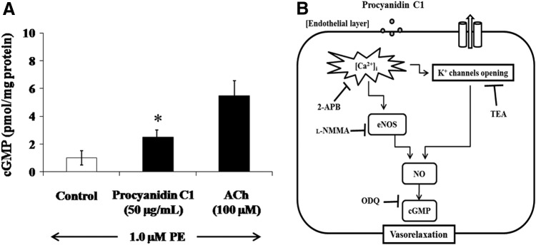 FIG. 6.