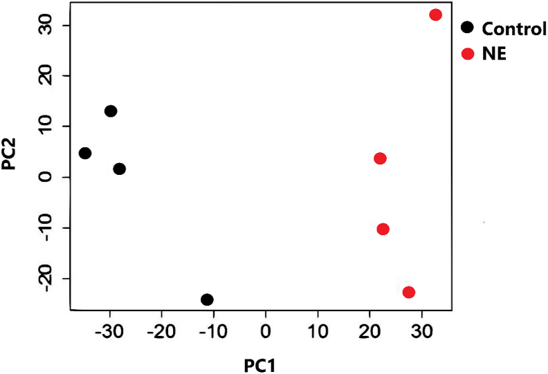 Fig. 2