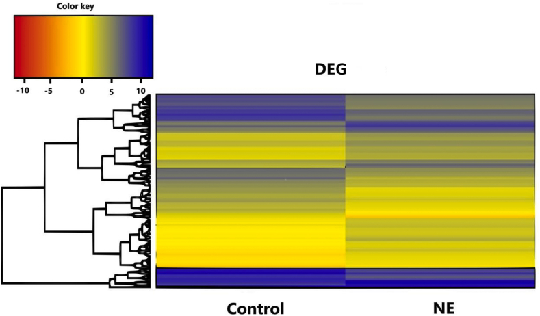 Fig. 3