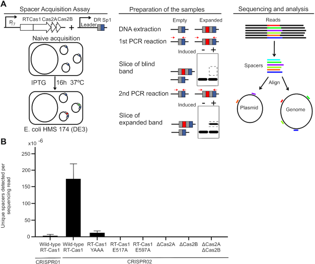 Figure 2.