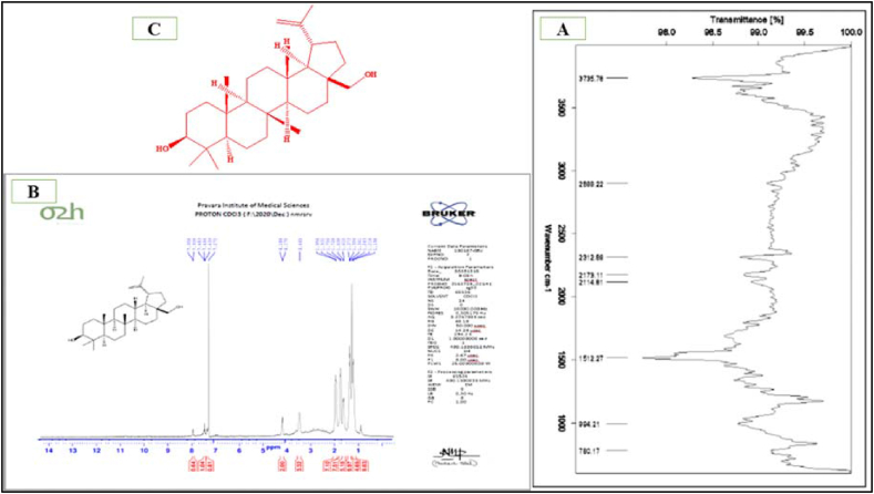 Fig. 1