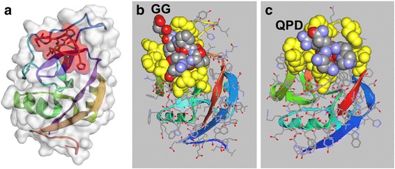 Fig. 1