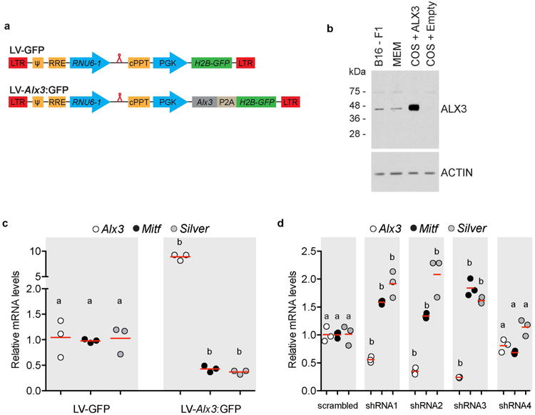 Extended Data Fig. 7