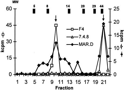 FIG. 1.