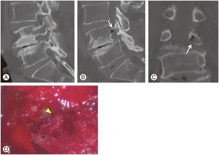 Fig. 5