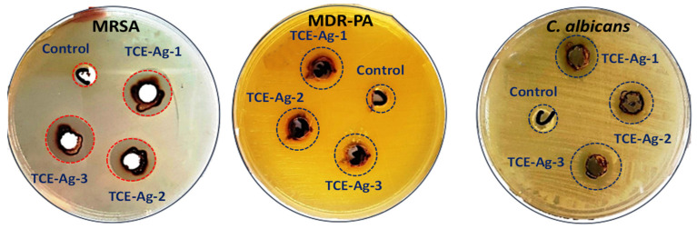 Figure 6